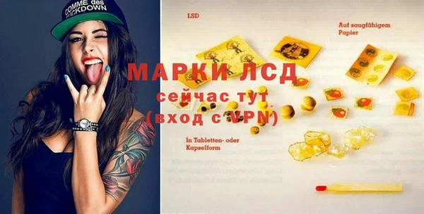 сатива Абинск