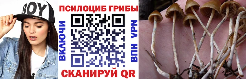 hydra   Мещовск  Галлюциногенные грибы мухоморы  закладки 
